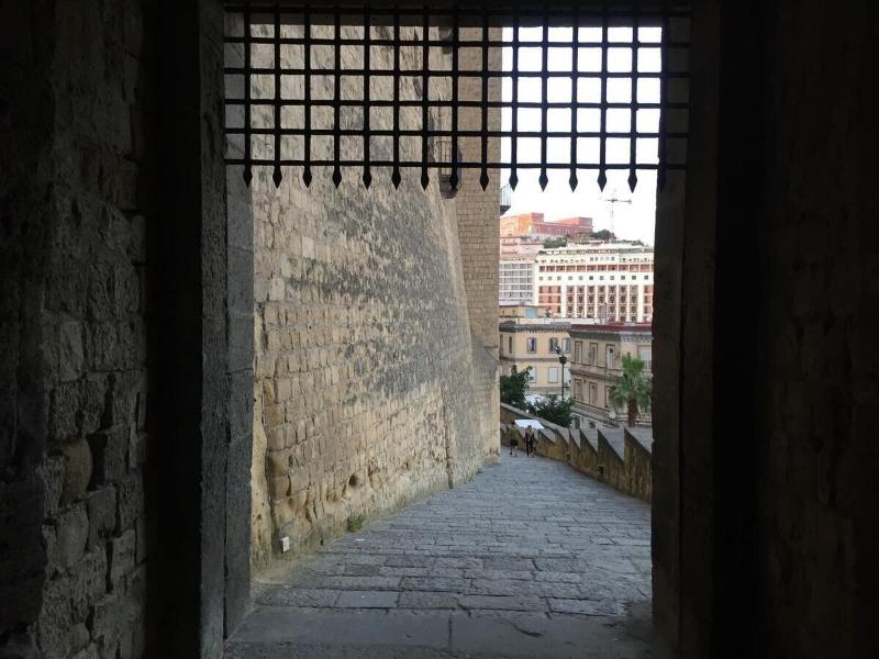 International Naples - Genel