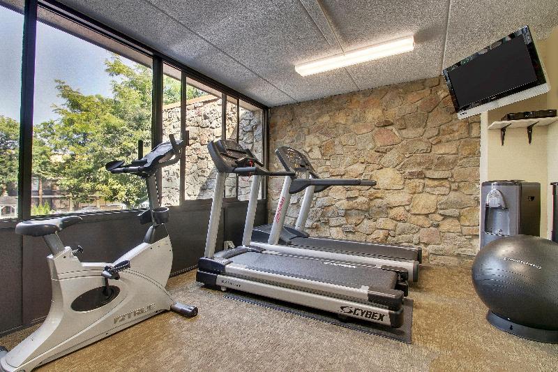 Holiday Inn Westbury-Long Island - Aktivite