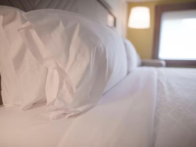 Holiday Inn Westbury-Long Island - Oda
