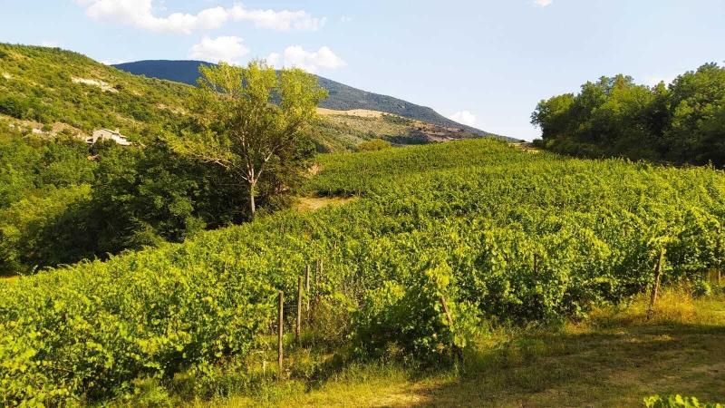 Re Arta Assisi Country Lifestyle - Aktivite