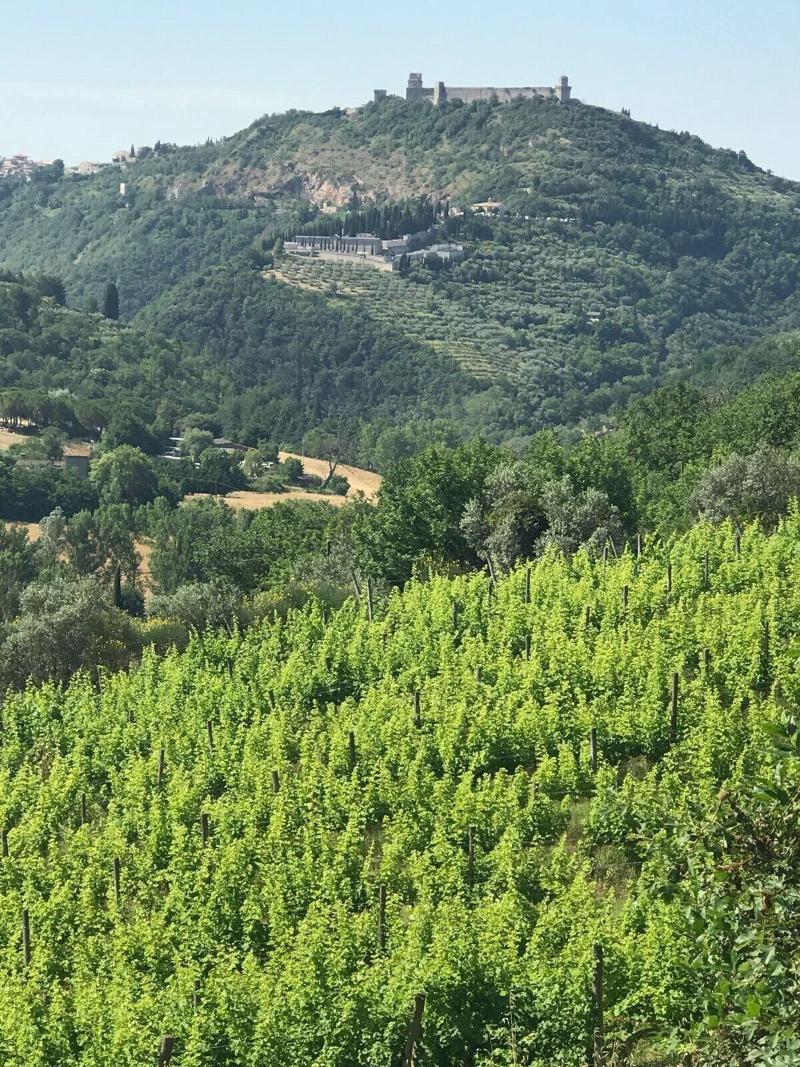Re Arta Assisi Country Lifestyle - Genel