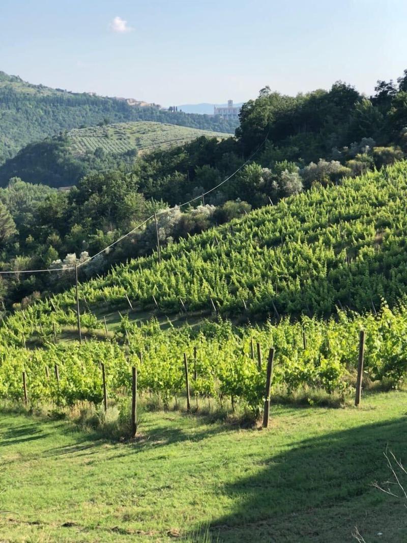 Re Arta Assisi Country Lifestyle - Genel