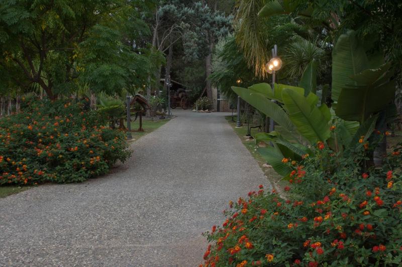 Agriturismo Papyrus - Genel
