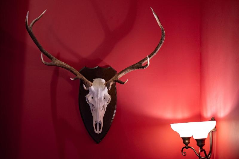 The Highland Club - Lobi