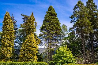 The Highland Club fotoÄŸrafÄ±