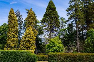 The Highland Club fotoÄŸrafÄ±