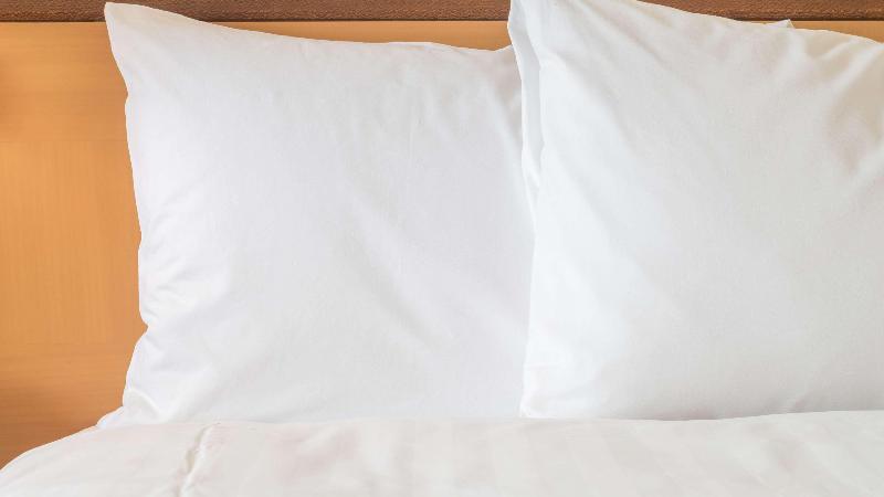 Sonesta Simply Suites Nanuet - Oda
