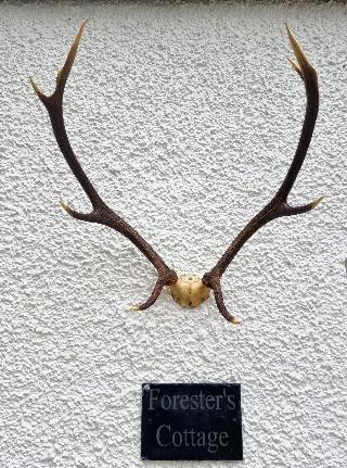 Armadale Castle fotoÄŸrafÄ±