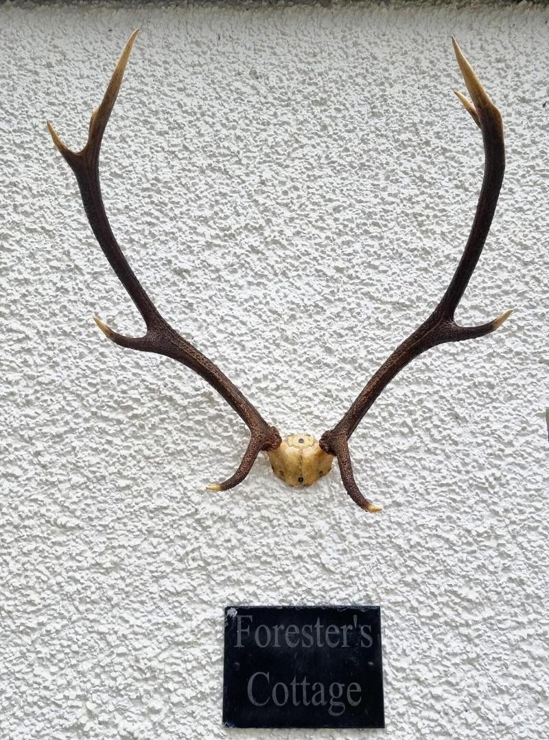 Armadale Castle - Lobi