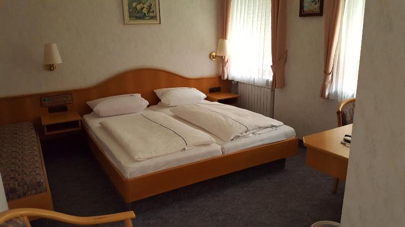 Hotel Gasthof Zum Schwan - Oda