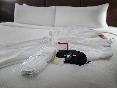 Crowne Plaza Suffern Mahwah oda fotoğrafı