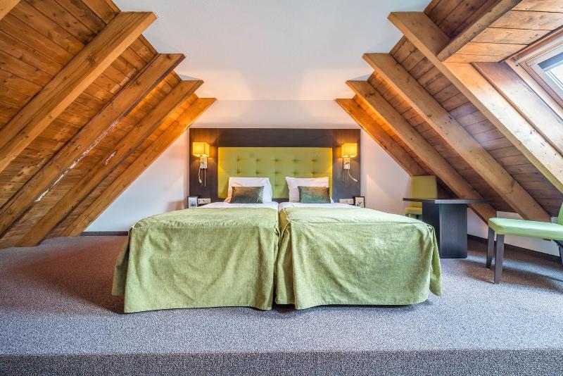 Hotel Inn Salland - Oda