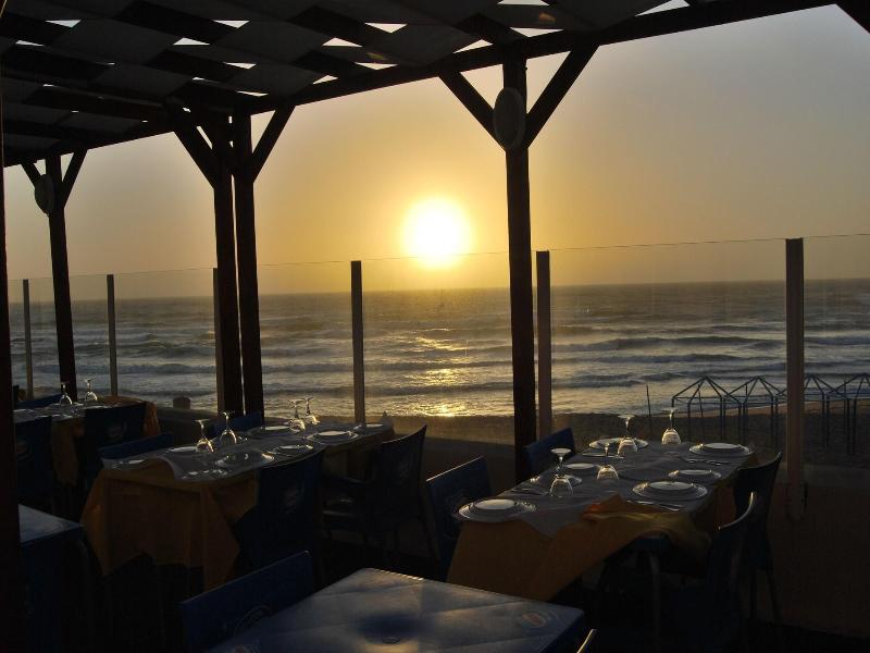 Promar Eco Beach & Spa Hotel - Genel
