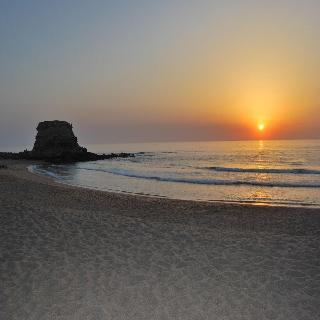 Promar Eco Beach & Spa Hotel fotoÄŸrafÄ±