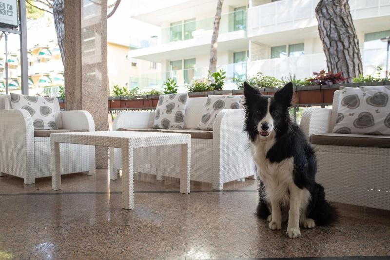 Hotel Villa Eugenia - Genel