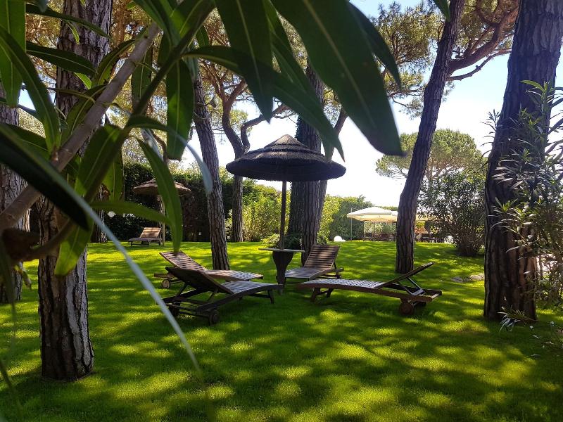 Hotel & Resort Gallia - Teras