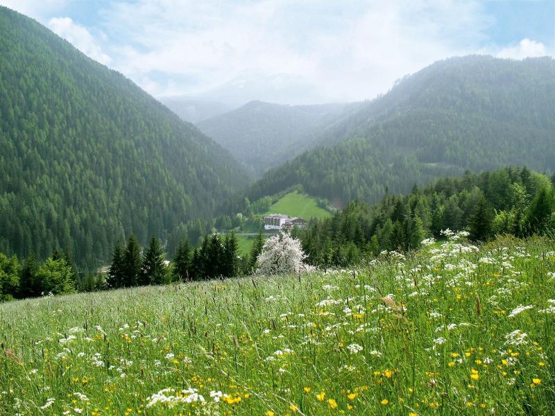 Ganischgerhof - Mountain Resort & Spa - Genel