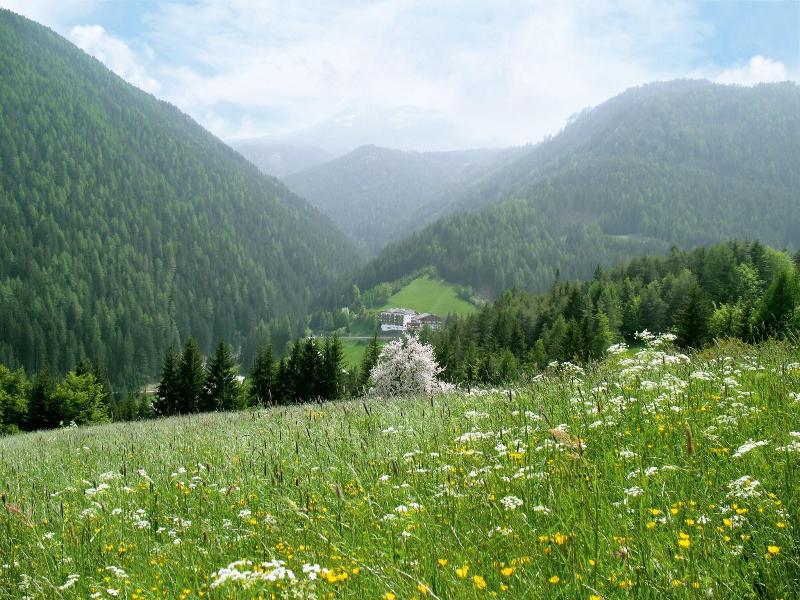 Ganischgerhof - Mountain Resort & Spa - Genel