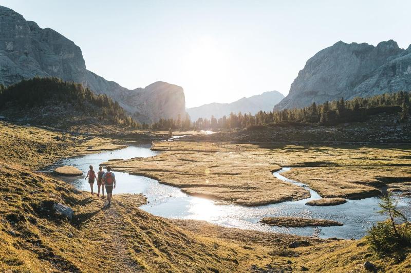 Excelsior Dolomites Life Resort - Aktivite