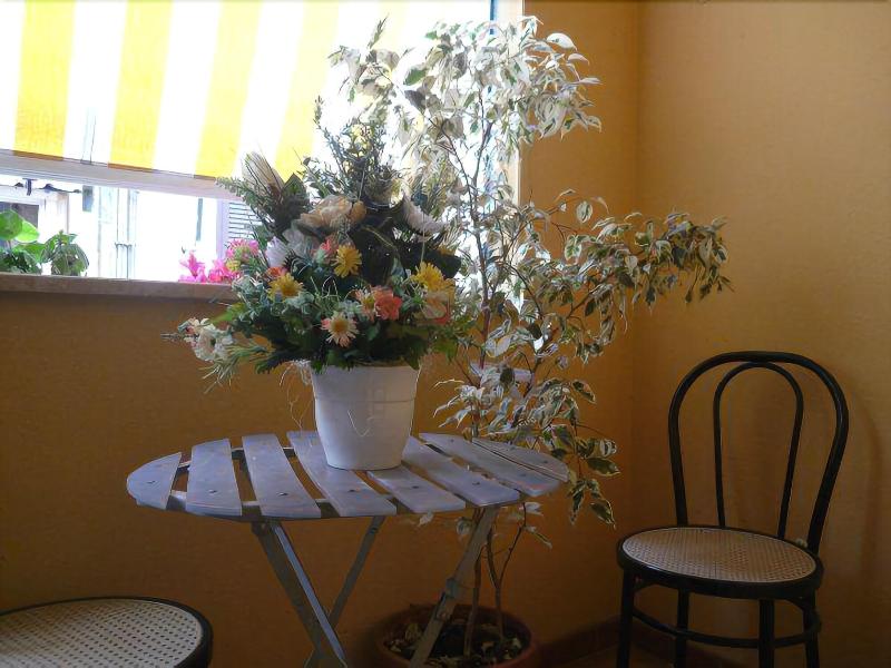 Hotel Fenicia - Genel