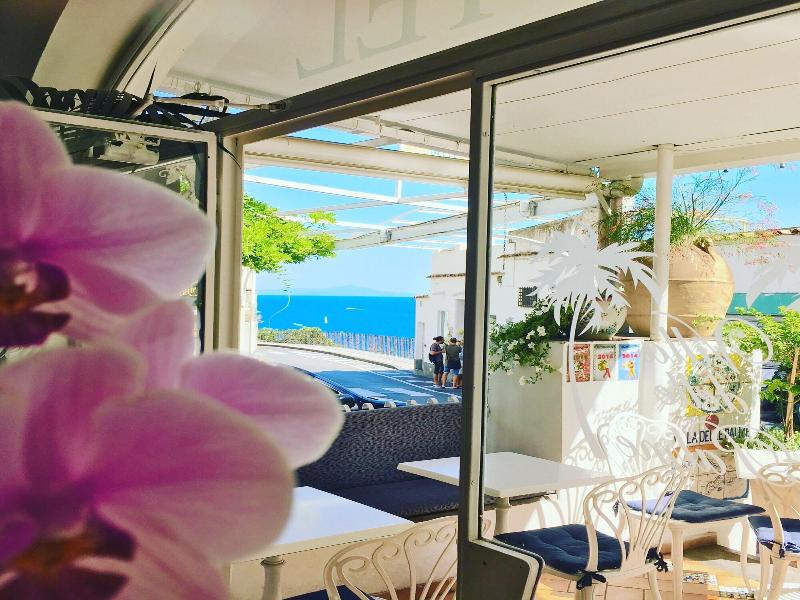 Hotel Villa Delle Palme - Genel