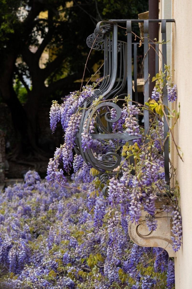 Villa Carlotta - Oda