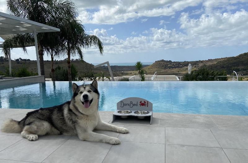 Doric Bed Boutique Hotel - Havuz