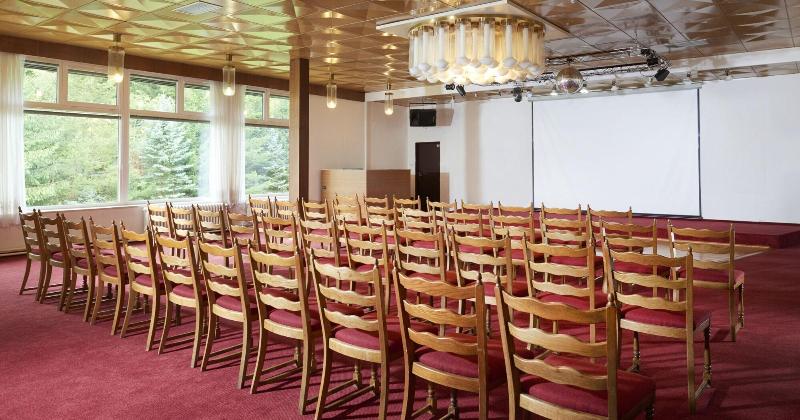 Wellness Hotel Svornost - Toplantı