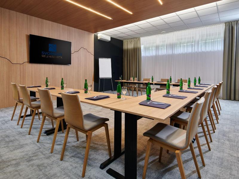 Wellness Hotel Svornost - Toplantı