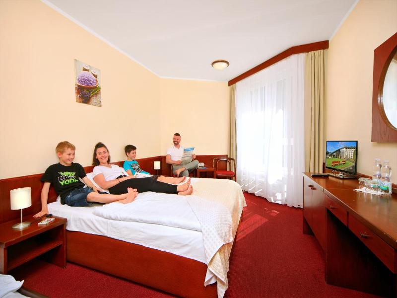 Wellness Hotel Svornost - Oda