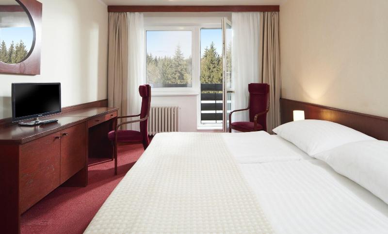 Wellness Hotel Svornost - Oda