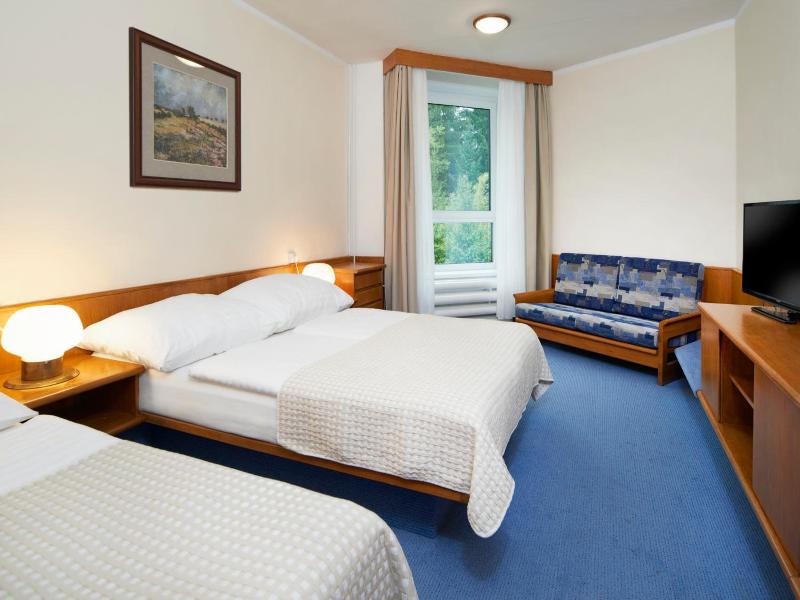 Wellness Hotel Svornost - Oda