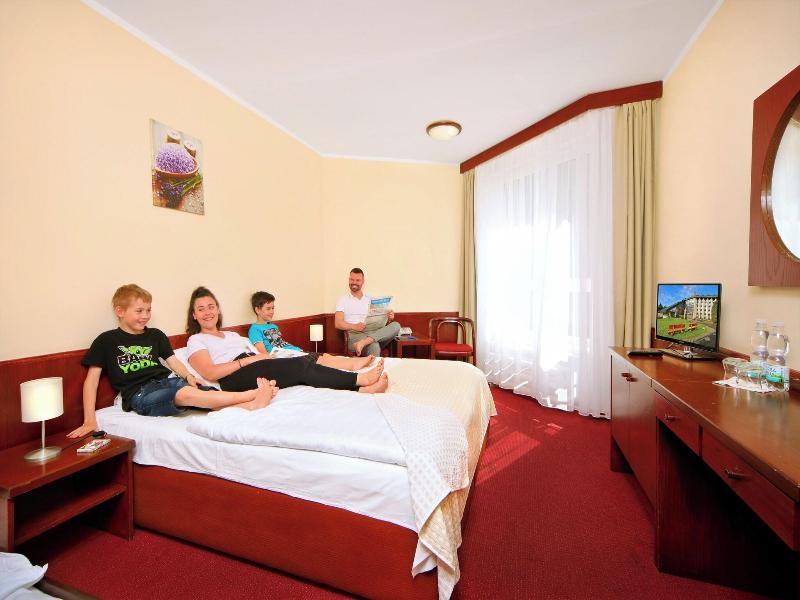 Wellness Hotel Svornost - Oda