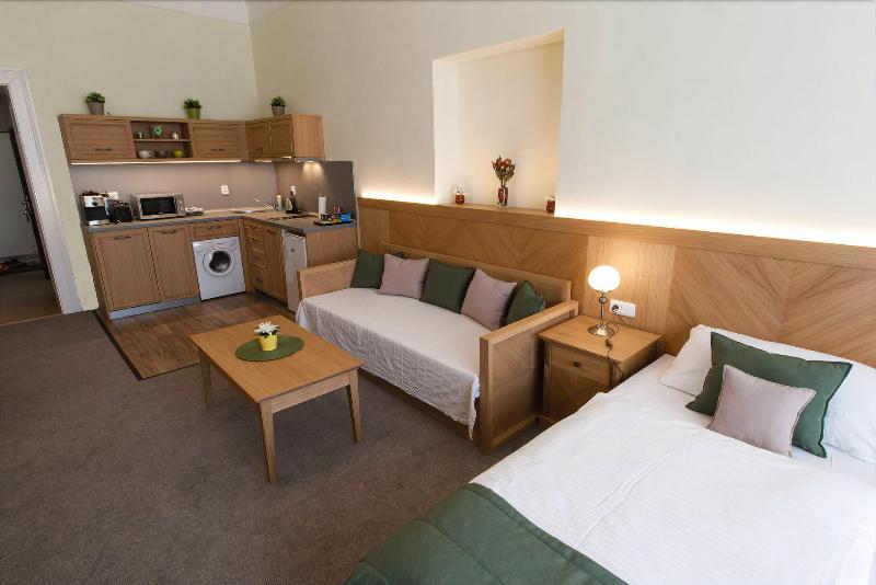 Karlova 25 Apartments - Oda