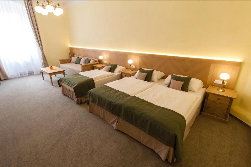 Karlova 25 Apartments - Oda