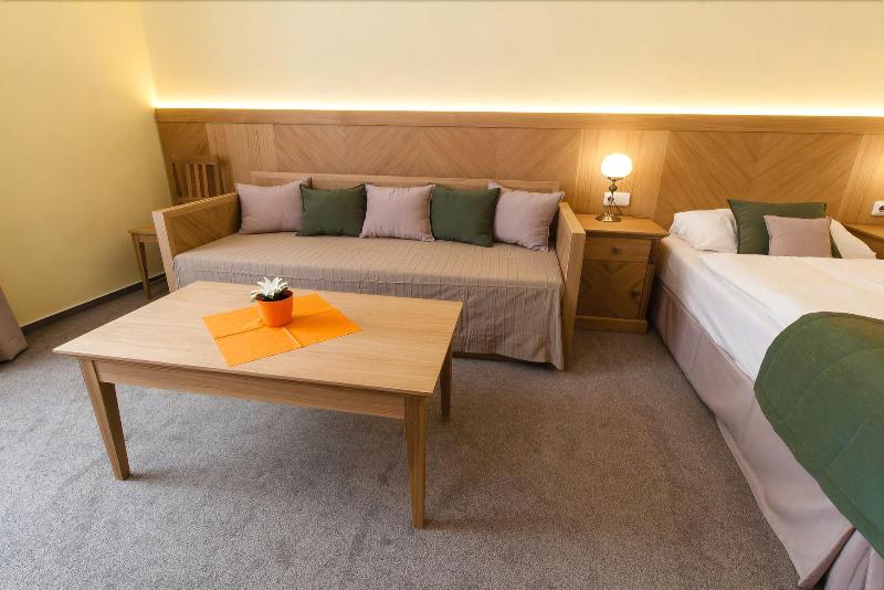 Karlova 25 Apartments - Oda