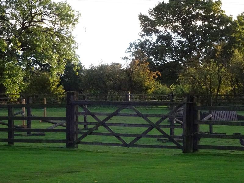 The Chequers Inn - Genel