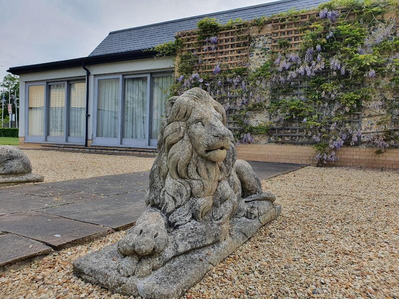 The Red Lion - Genel
