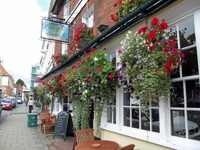 The Green Dragon - Genel