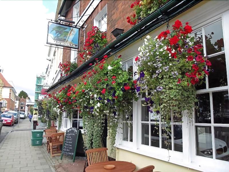 The Green Dragon - Teras
