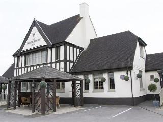 The White Hart fotoÄŸrafÄ±