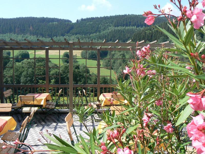 Haus des Volkes - Das Bauhaushotel - Teras