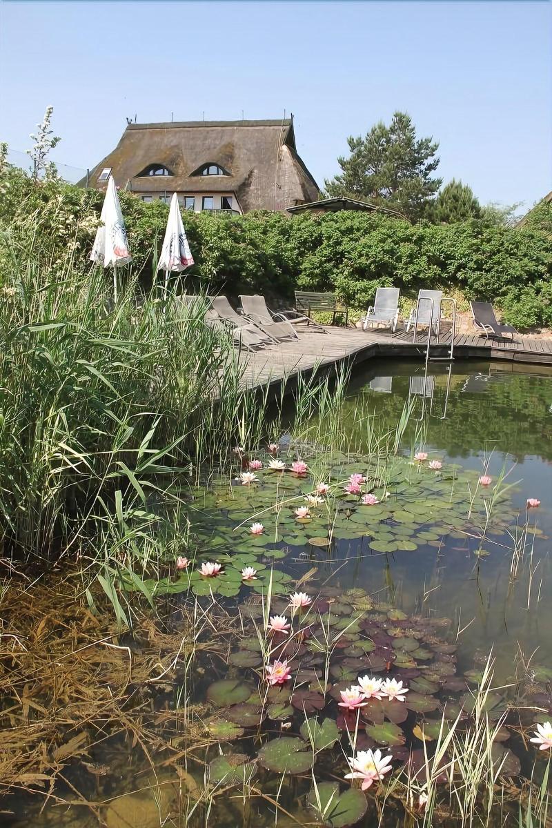Kur- und Landhotel Borstel-Treff - Genel