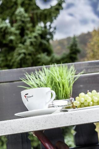 Hotel Am Kurpark fotoÄŸrafÄ±