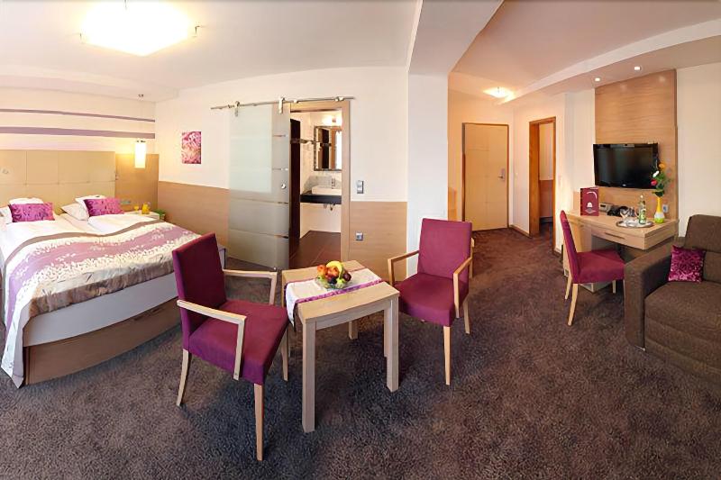 Hotel Lenauhof - Oda