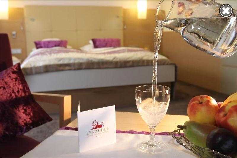 Hotel Lenauhof - Oda