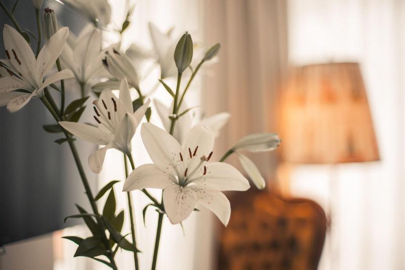 Maison Marsil Boutique Hotel - Lobi