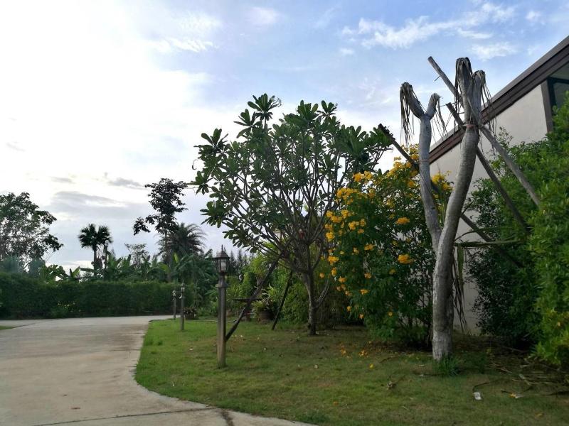 On Green Resort - Genel