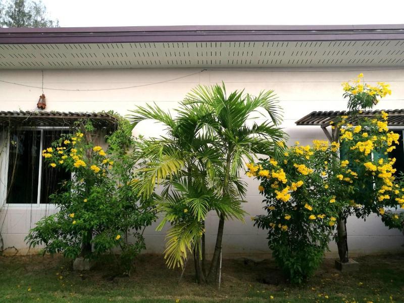 On Green Resort - Teras