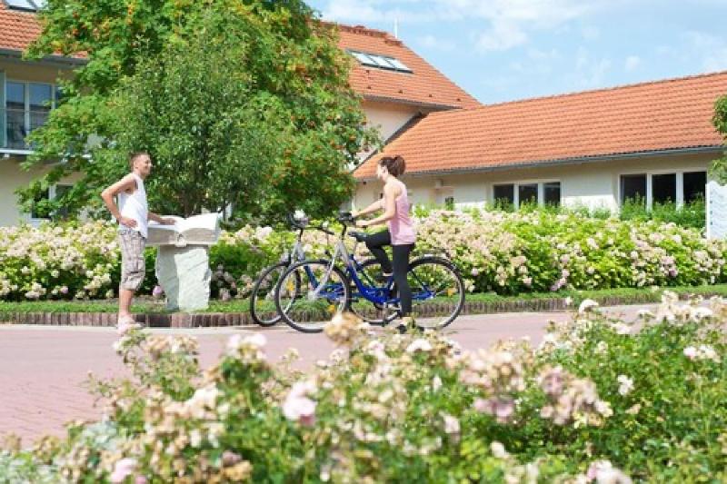 Hotel Bollmannsruh Am Beetzsee - Aktivite